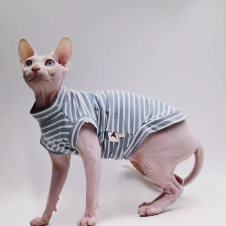 Purrfect Wear - Comfort Zone