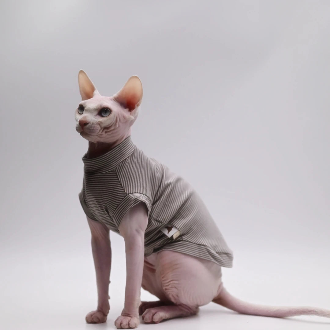 Purrfect Wear - Comfort Zone