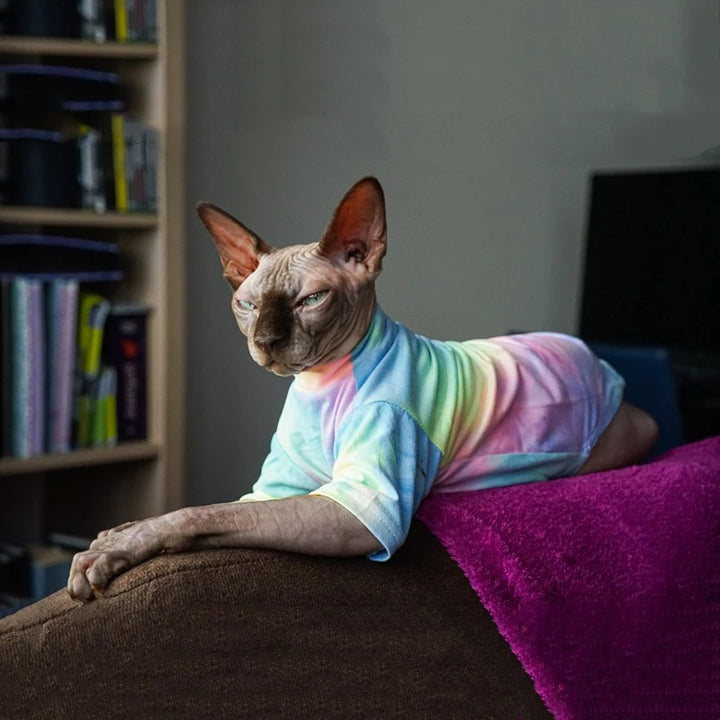 Purrfect Wear - Arcobaleno