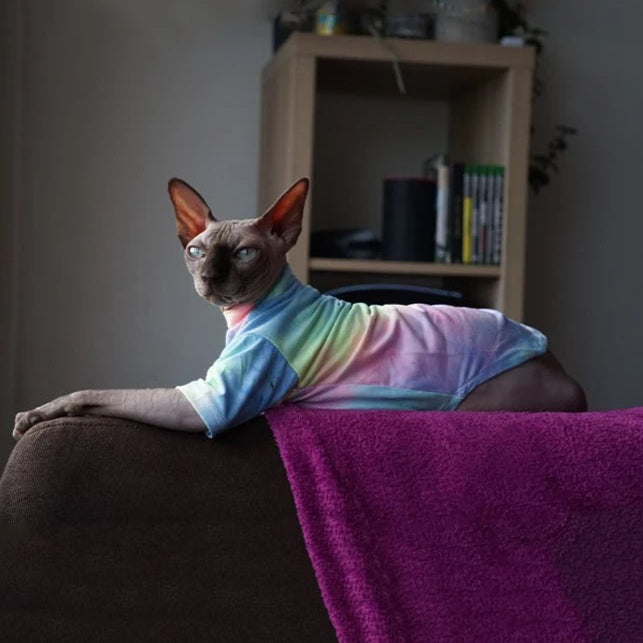 Purrfect Wear - Arcobaleno
