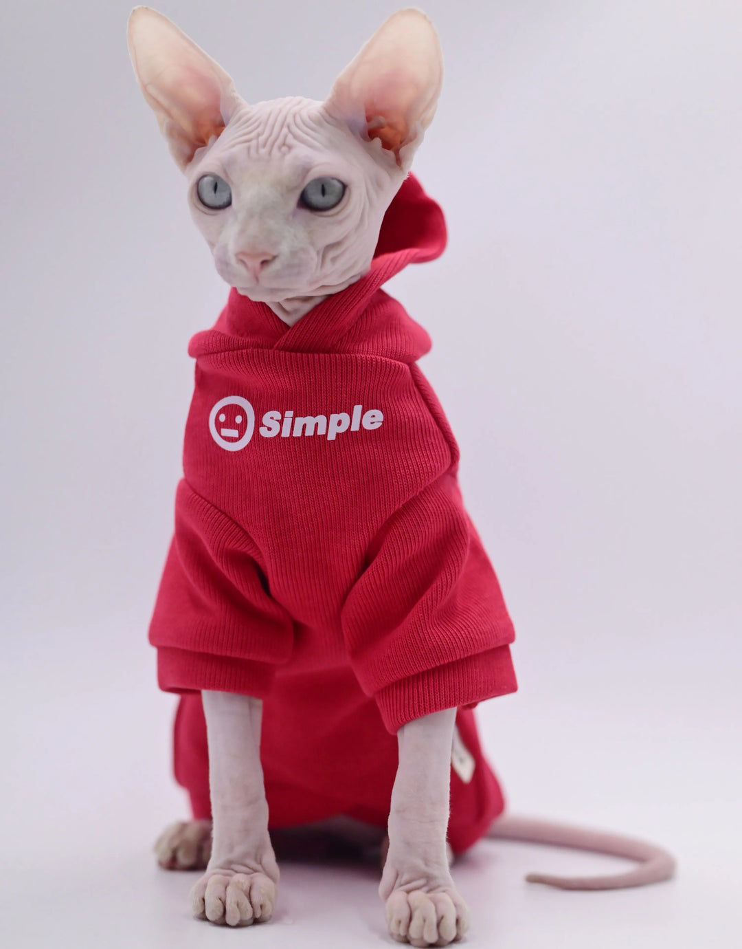 Purrfect Wear - Passione