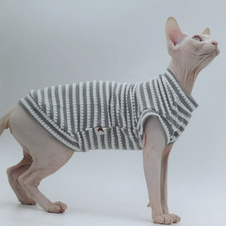 Purrfect Wear - Comfort Zone