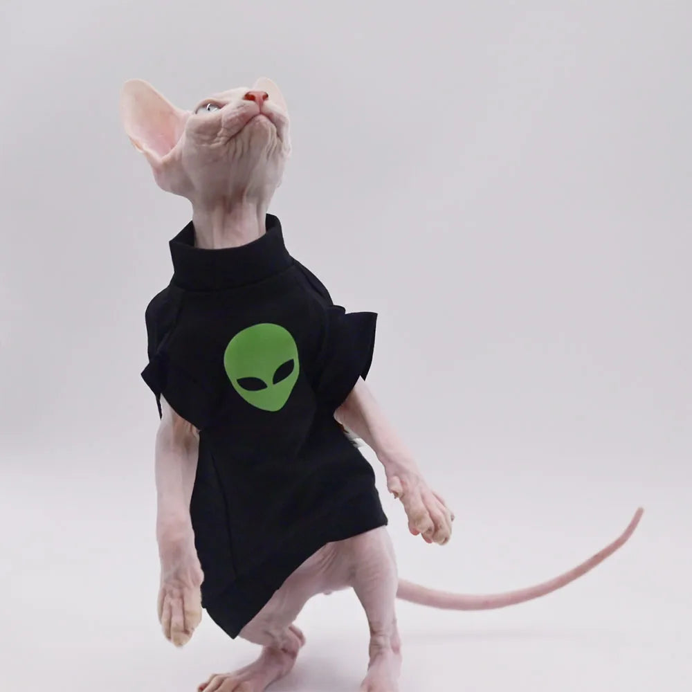 Purrfect Wear - Telefono Casa