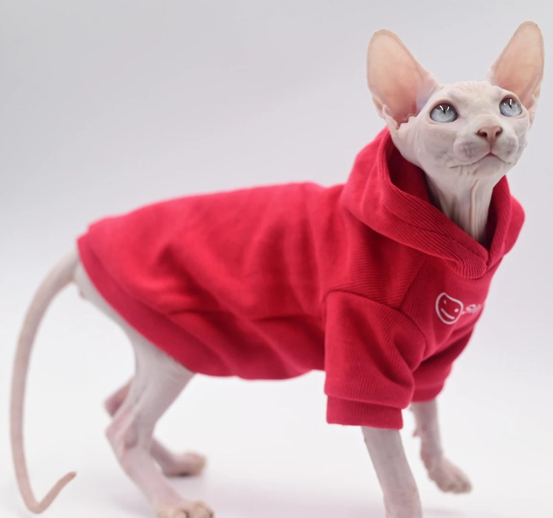 Purrfect Wear - Passione