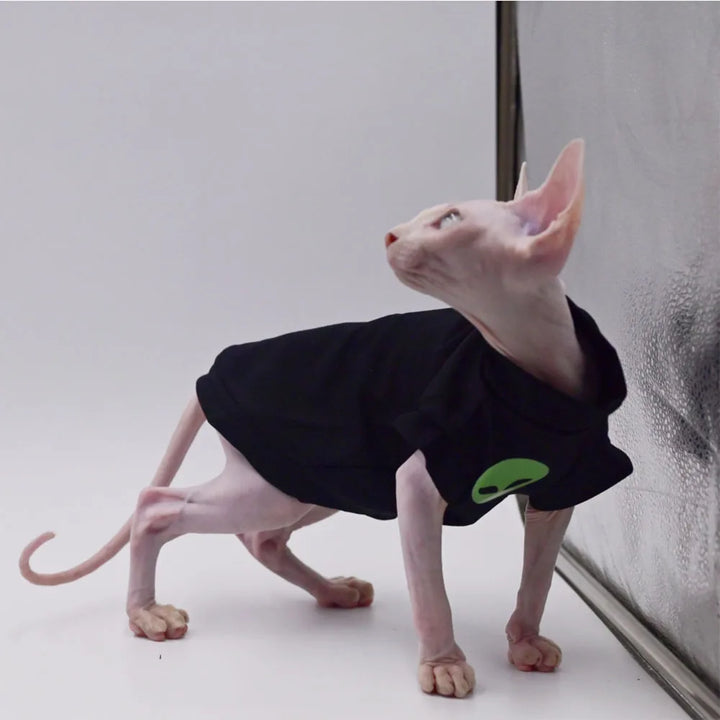 Purrfect Wear - Telefono Casa