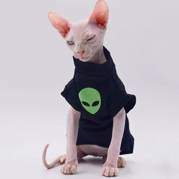 Purrfect Wear - Telefono Casa