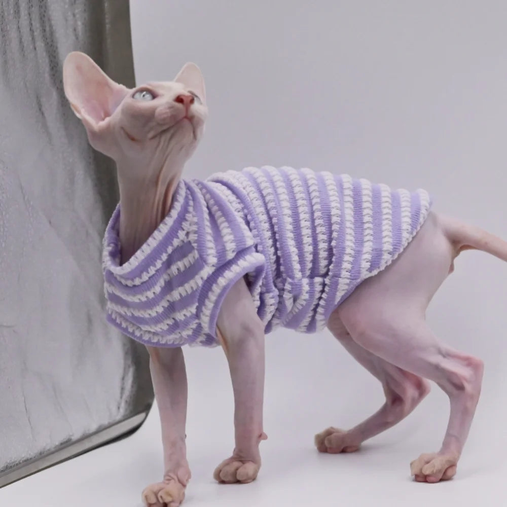 Purrfect Wear - Comfort Zone