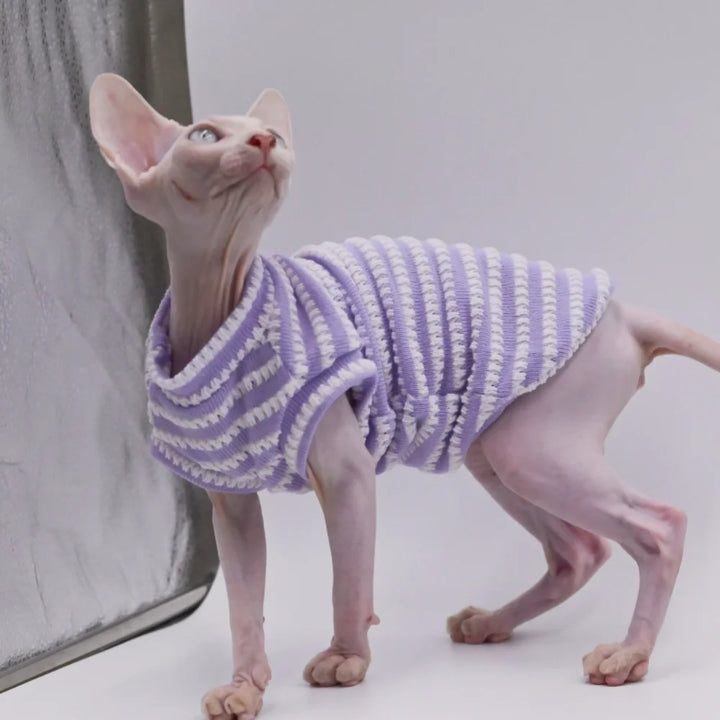 Purrfect Wear - Comfort Zone