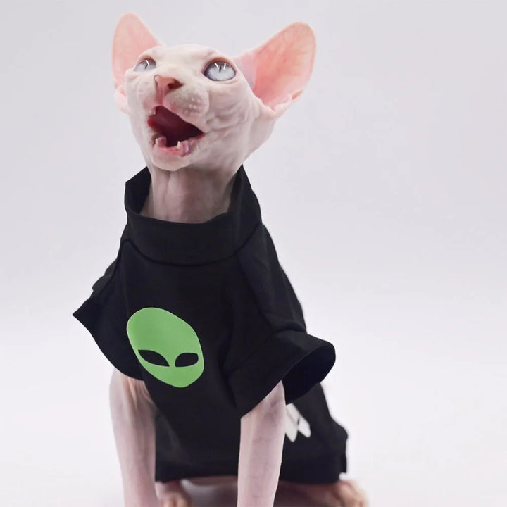 Purrfect Wear - Telefono Casa